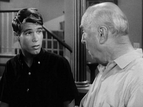 My Three Sons - Didja Ever Have One of Those Days?