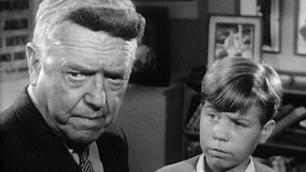 My Three Sons - The Toupee