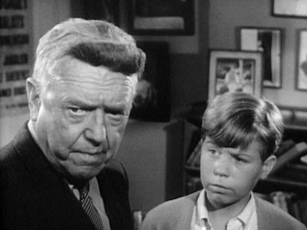 My Three Sons - The Toupee