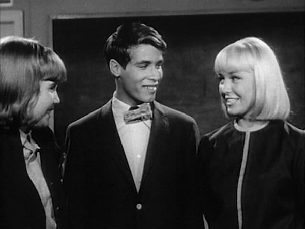 My Three Sons - The Ever-Popular Robbie Douglas
