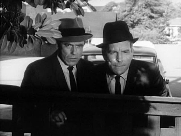 My Three Sons - Top Secret