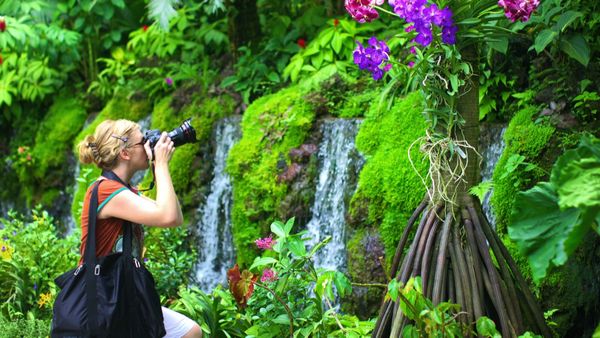 The World Is Yours - Costa Rica - Iceland - Singapore