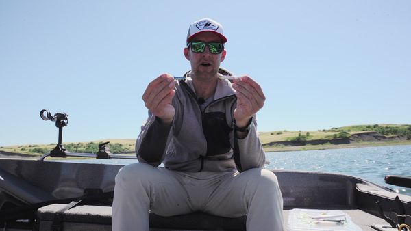 The Next Bite - The One-Two Punch for Summer Reservoir Walleyes