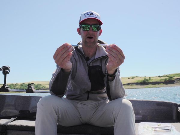 The Next Bite - The One-Two Punch for Summer Reservoir Walleyes