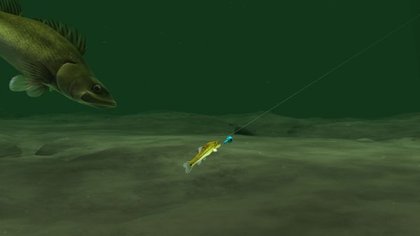 The Next Bite - Forward-Facing Sonar Master Class!