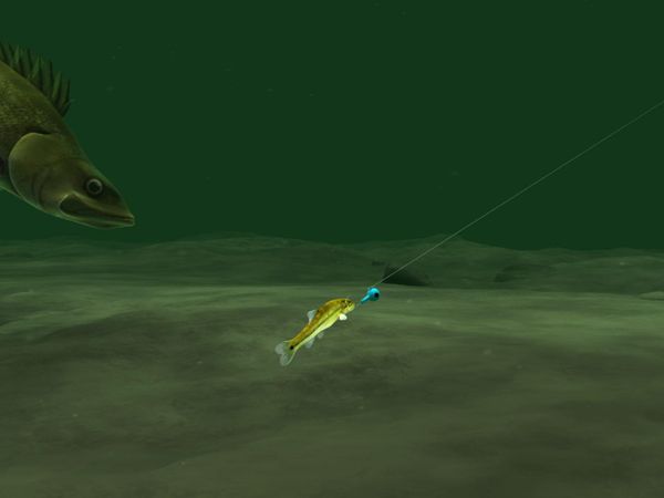 The Next Bite - Forward-Facing Sonar Master Class!