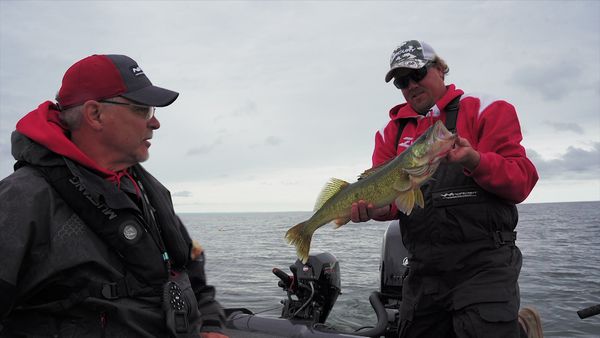 The Next Bite - Extracting Huge Summer Walleyes From the Depths
