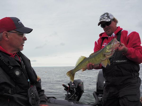 The Next Bite - Extracting Huge Summer Walleyes From the Depths