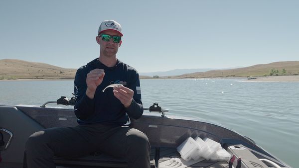 The Next Bite - The Latest in New Baits for Walleyes!