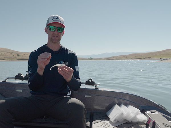 The Next Bite - The Latest in New Baits for Walleyes!