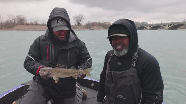 The Next Bite - Late Season Detroit River Walleyes