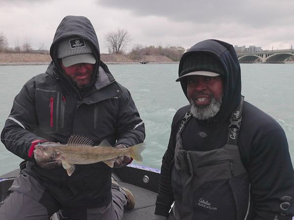The Next Bite - Late Season Detroit River Walleyes