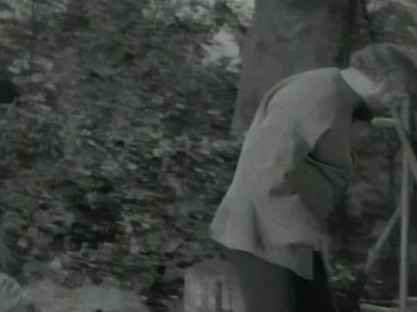 The Adventures of Robin Hood - The Pharaoh Stones