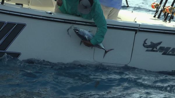 George Poveromo's World of Saltwater Fishing - A Net Full of Good Karma