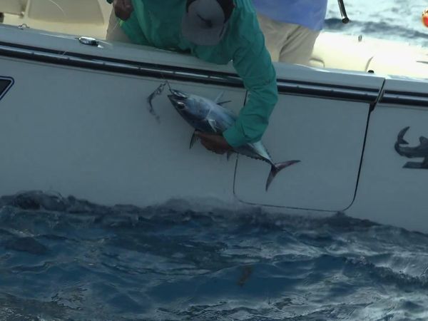 George Poveromo's World of Saltwater Fishing - A Net Full of Good Karma