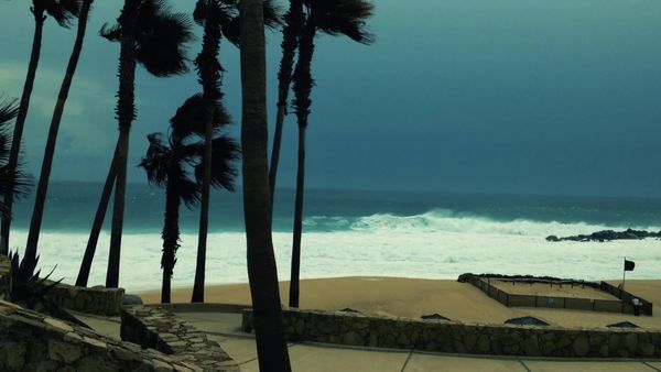 Fatal Forecast - Hurricanes