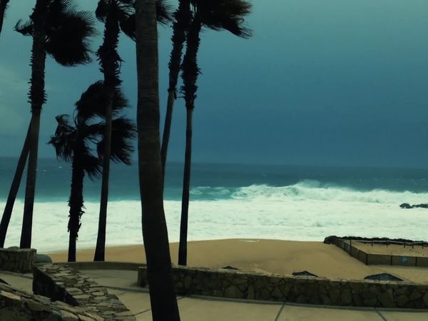 Fatal Forecast - Hurricanes