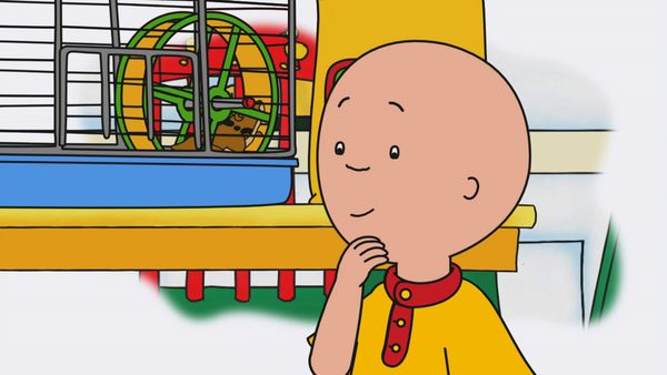 Caillou - O Aniversário do Vovô // O Mascote da Classe // No Jardim