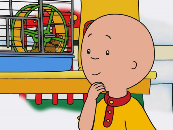 Caillou - O Aniversário do Vovô // O Mascote da Classe // No Jardim