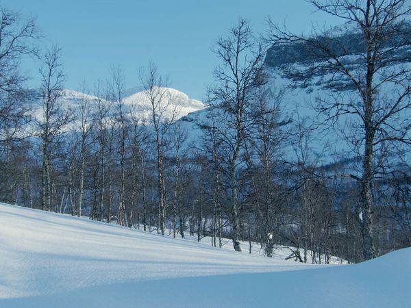 Wildest Europe - Land of Ice & Snow