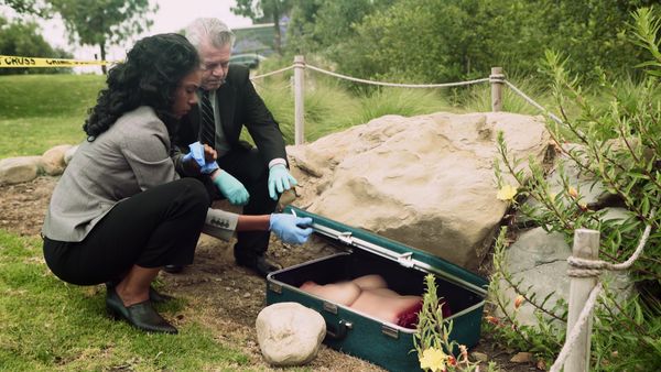 Bizarre Murders - Piece of the Puzzle