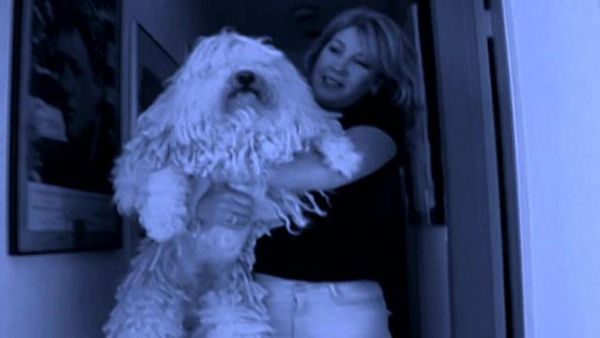 Dog Whisperer with Cesar Millan - Pepper and Slick
