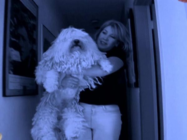 Dog Whisperer with Cesar Millan - Pepper and Slick