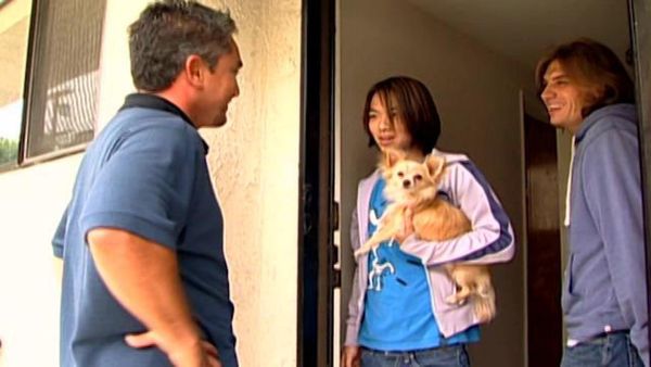 Dog Whisperer with Cesar Millan - Hank and Paris