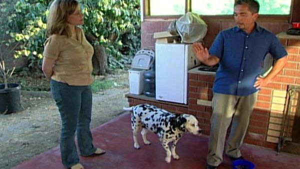 Dog Whisperer with Cesar Millan - Lucy and Lizzie