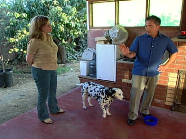 Dog Whisperer with Cesar Millan - Lucy and Lizzie