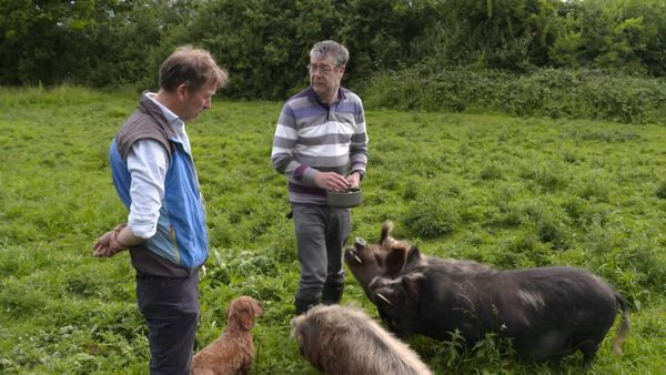 The Yorkshire Vet - Episode 7
