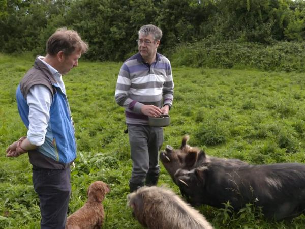 The Yorkshire Vet - Episode 7