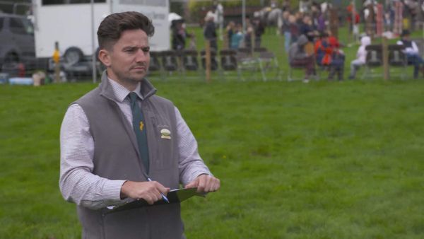 The Yorkshire Vet - Episode 13