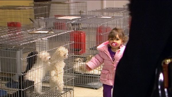 Teen Mom OG - Terrible Twos