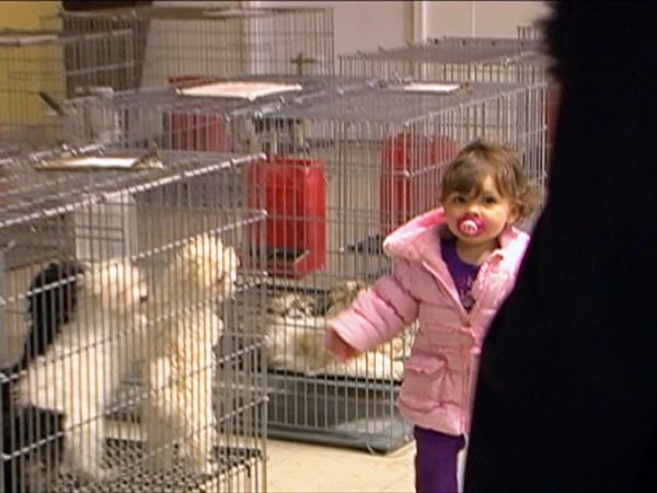 Teen Mom OG - Terrible Twos