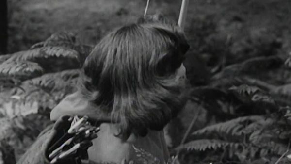 The Adventures of Robin Hood - The Black Patch