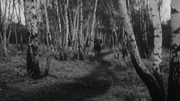 The Adventures of Robin Hood - The frightened tailor