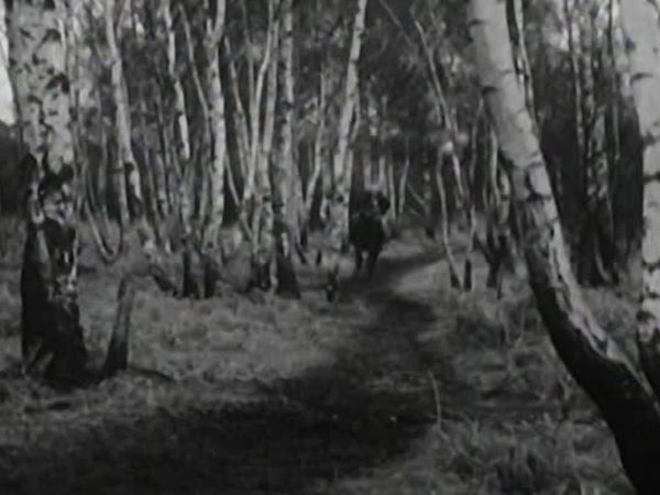 The Adventures of Robin Hood - The frightened tailor