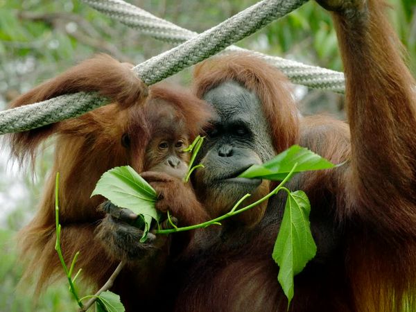 Walking Wild - Episode 12
