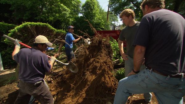 This Old House - Auburndale | Regulations and Challenges S