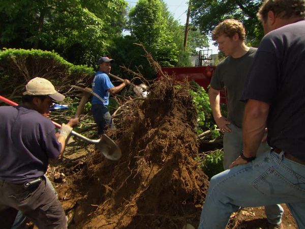 This Old House - Auburndale | Regulations and Challenges S