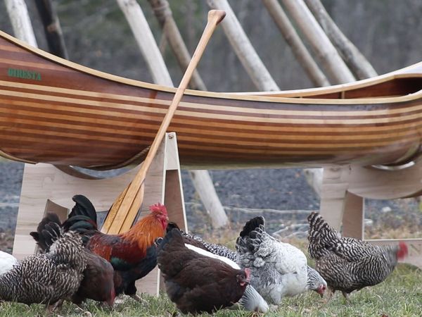 Jimmy DiResta: This Old House Makers Channel - How to Build Your First Canoe