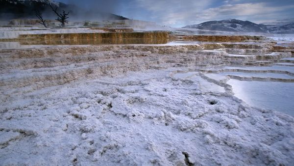 Underwater Wonders Of The National Parks - Yellowstone