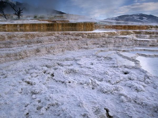 Underwater Wonders Of The National Parks - Yellowstone