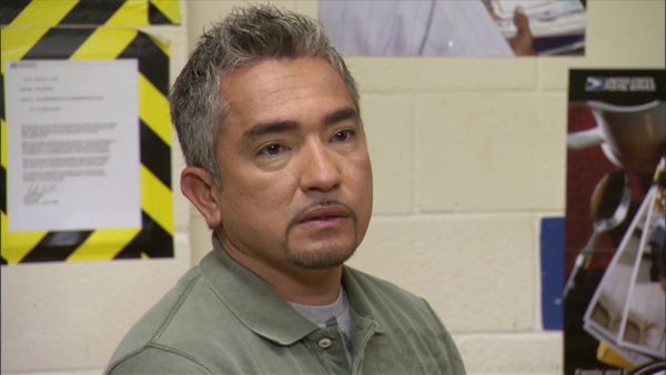 Dog Whisperer with Cesar Millan - Mail Carriers vs. Dogs