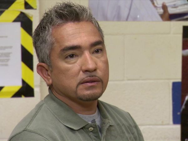 Dog Whisperer with Cesar Millan - Mail Carriers vs. Dogs
