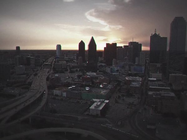 Killer Cases - The Dallas Love Triangle