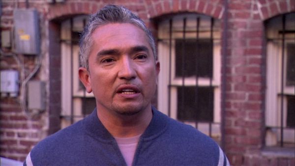 Dog Whisperer with Cesar Millan - The Dominator