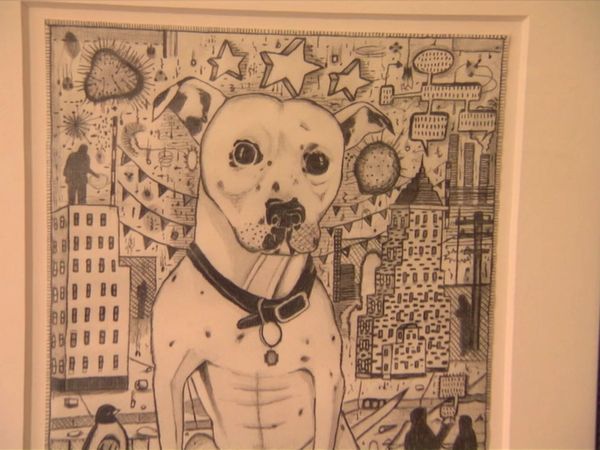 Dog Whisperer with Cesar Millan - Diva's Miracle Worker, The