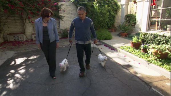 Dog Whisperer with Cesar Millan - Terrible Twosome